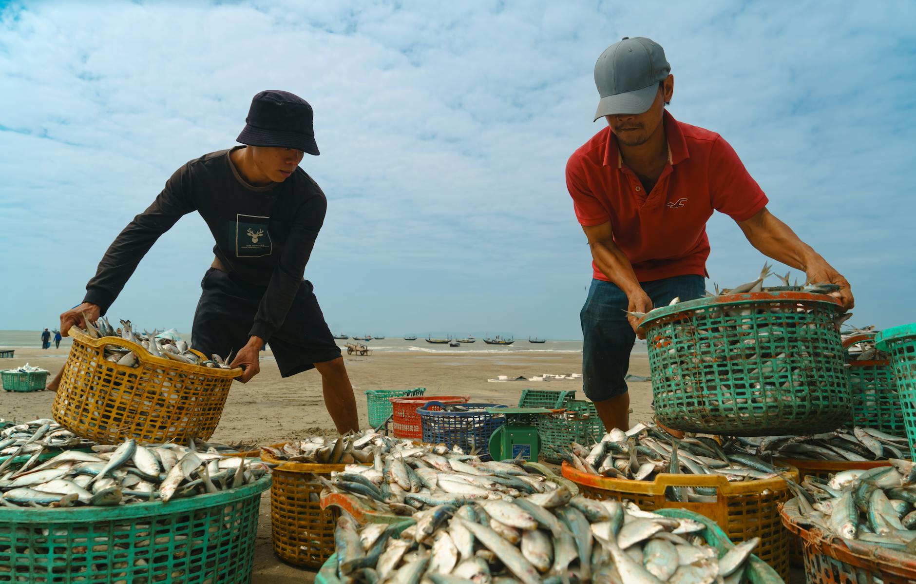 Minh họa đàn cá trong game bắn cá trực tuyến trên web